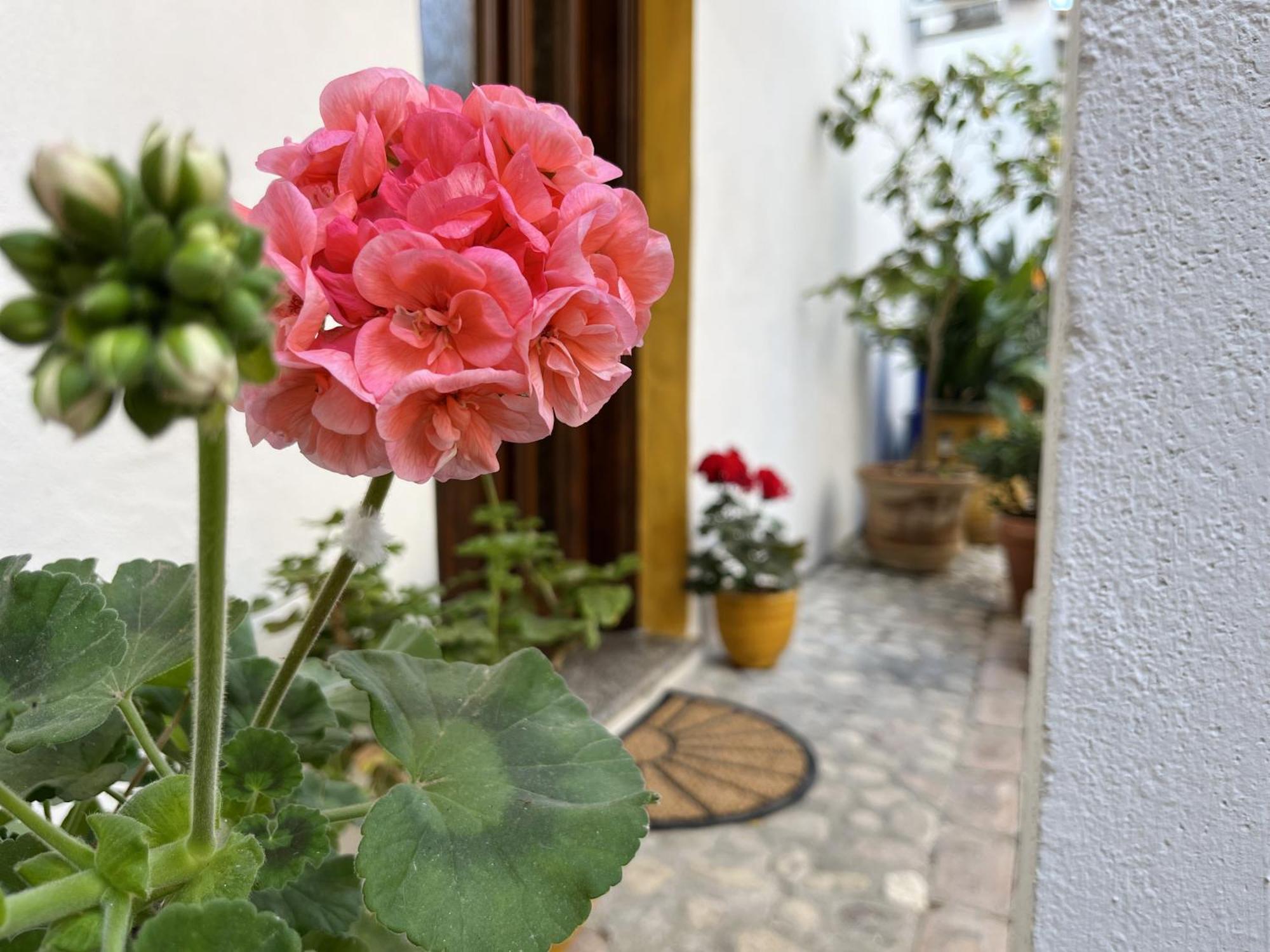 Casa Lia - Independent Apartment In The Gulf Of Orosei Galtelli Exterior photo